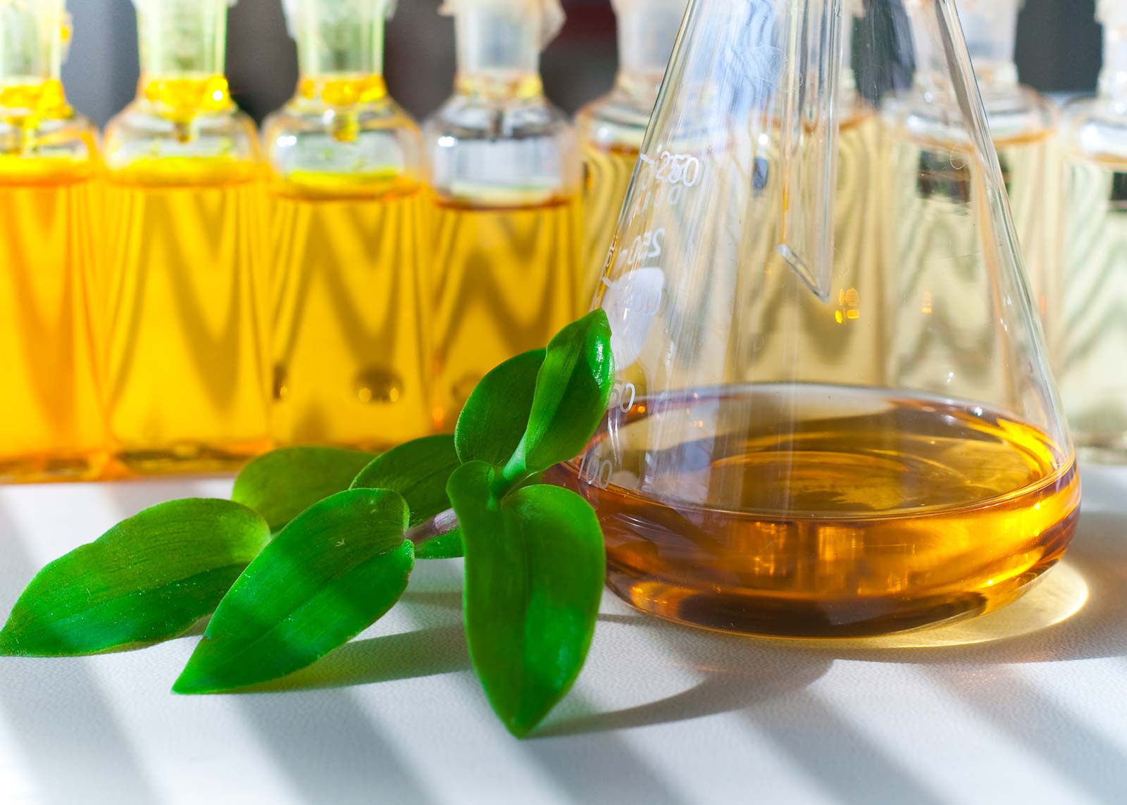 Pflanzenöl in Glasflasche mit grünen Blättern